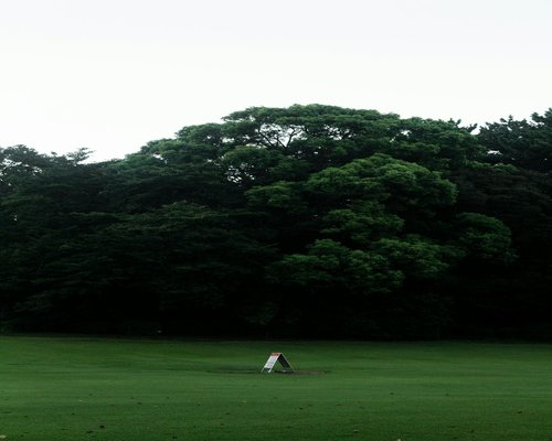 Person walking leisurely in a green natural park